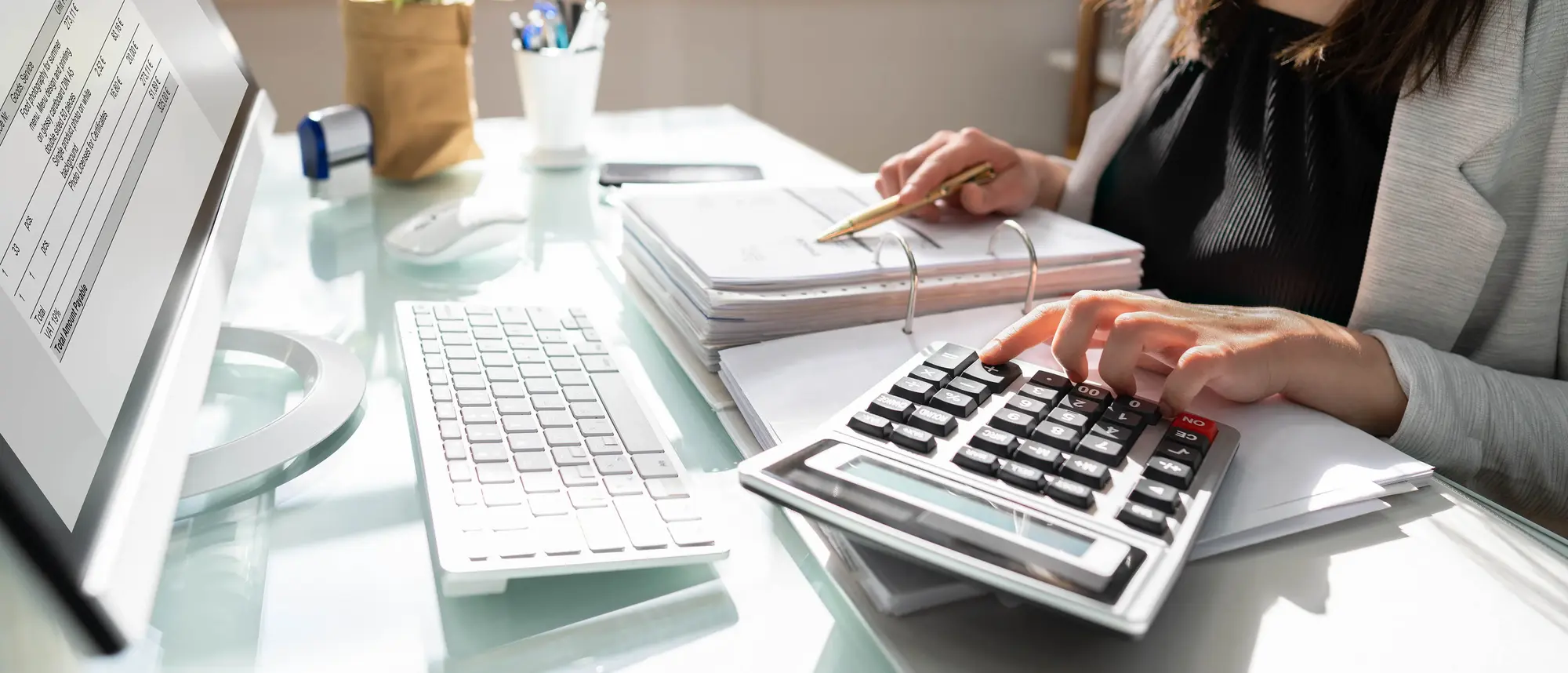Professional Accountant Woman In Office