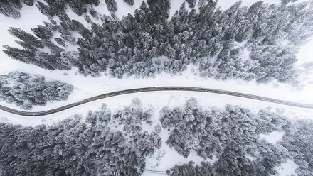 Bird eye’s view!, by Kimon Maritz