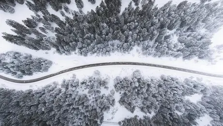 Bird eye’s view!, by Kimon Maritz
