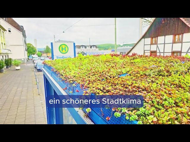 Grüner warten mit der HST